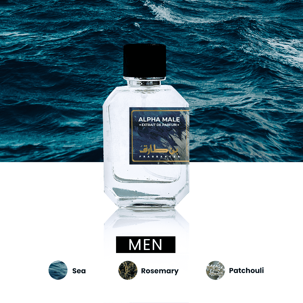 Alpha Male - Impression of Aqua di Gio Profumo