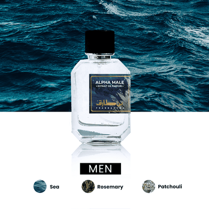 Alpha Male - Impression of Aqua di Gio Profumo