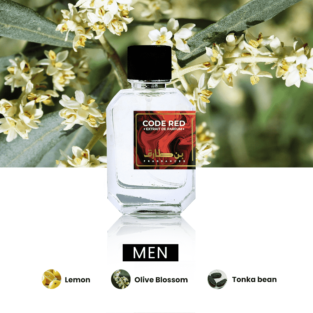 Code Red- Impression of Armani Code