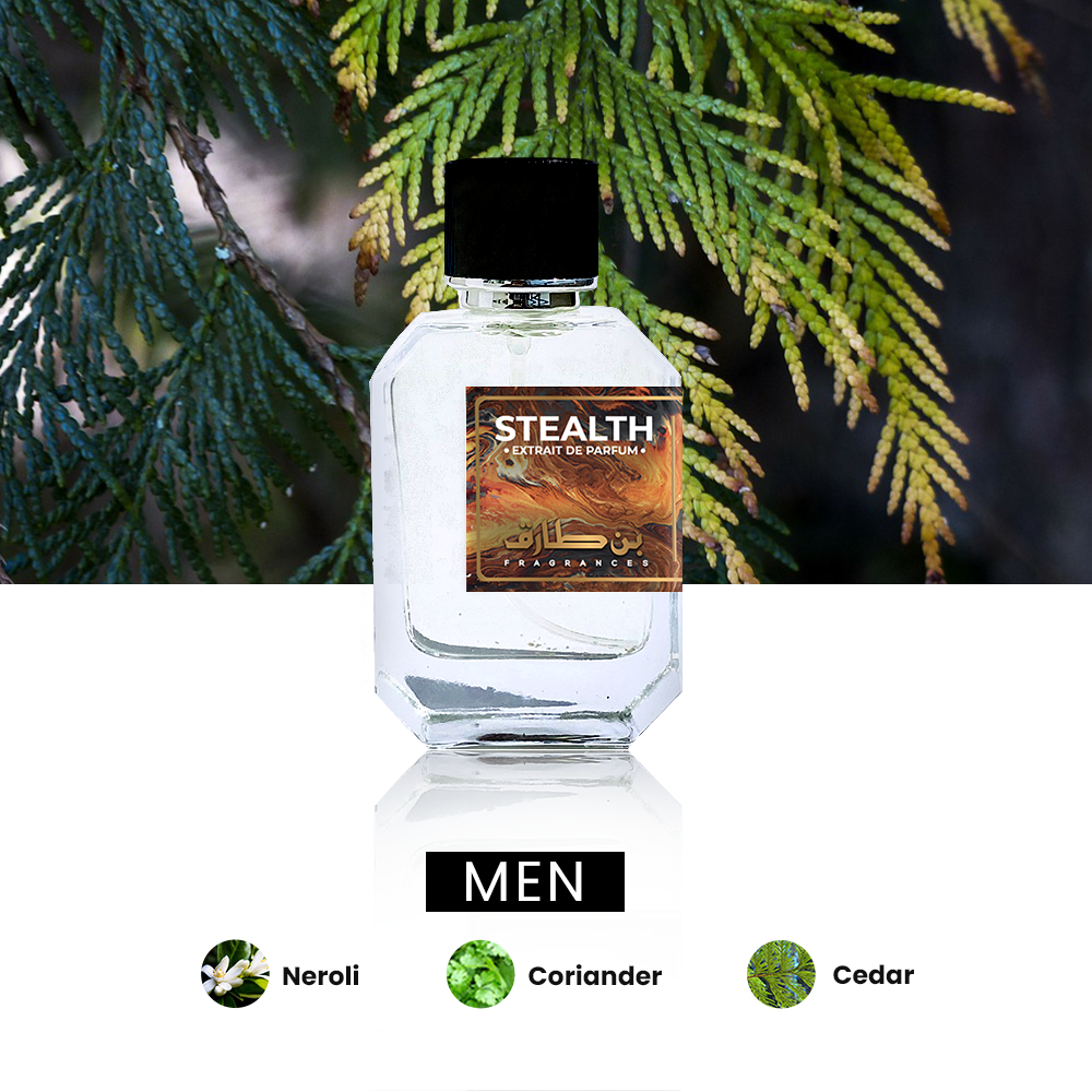 Stealth - Impression of Azzaro Chrome