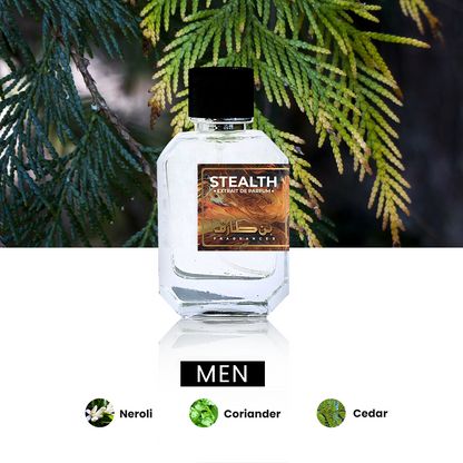 Stealth - Impression of Azzaro Chrome