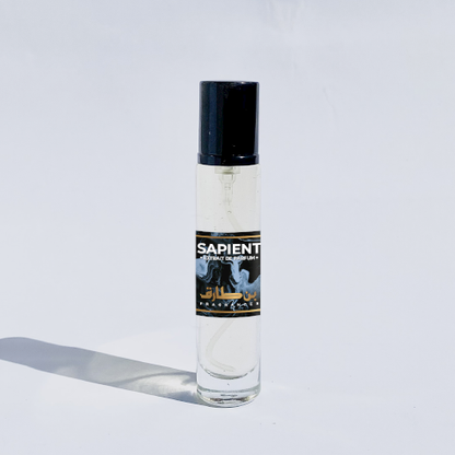 Sapient - Impression of 212 Men