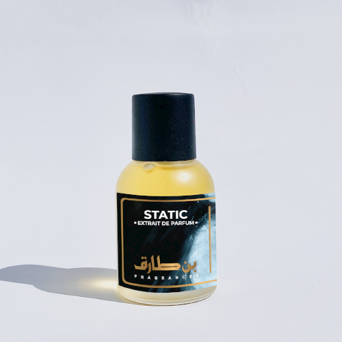 Static - Impression of Acqua Di Gio Pour Homme