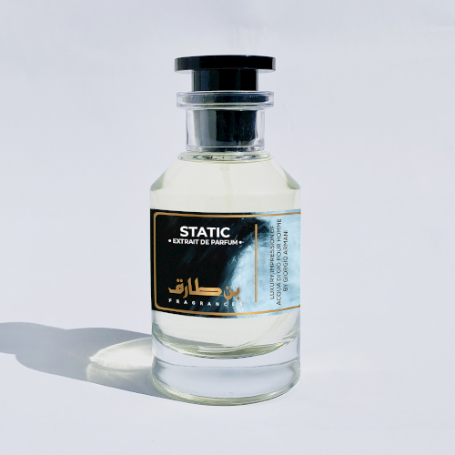 Static - Impression of Acqua Di Gio Pour Homme