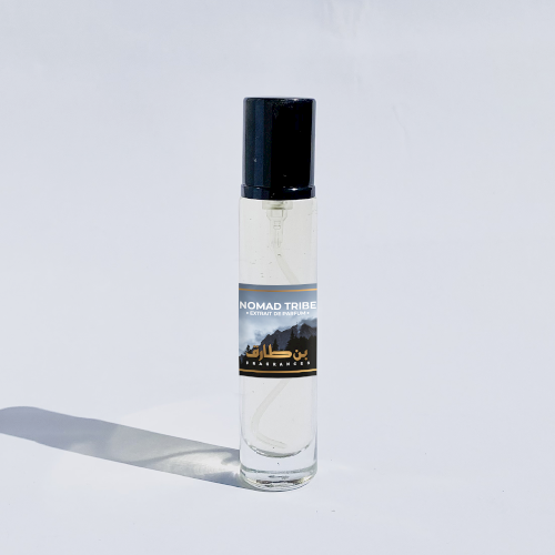 Nomad Tribe - Impression of LV Ombre Nomad