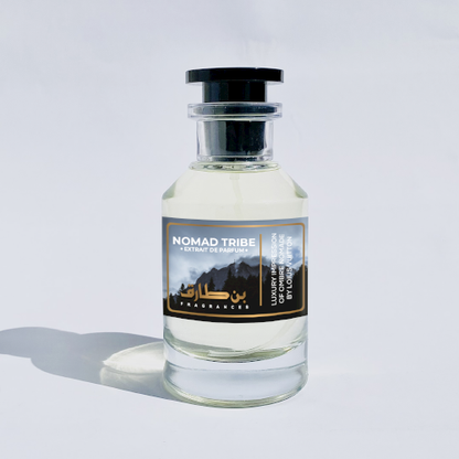 Nomad Tribe - Impression of LV Ombre Nomad